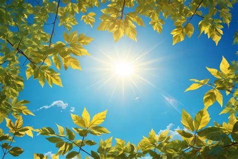 Sunny Sky with Leaves Graphic by Forhadx5 · Creative Fabrica