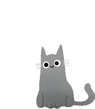 Cat Fart Sticker - Cat Fart Jump - Discover & Share GIFs