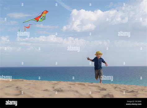 Boy flying kite on beach Stock Photo - Alamy