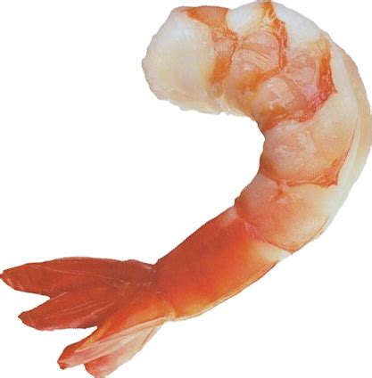 Shrimps Clip Art PNG Transparent Background, Free Download #34970 ...