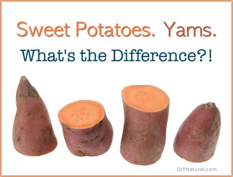 Sweet Potato, Yams, Is there a Difference?