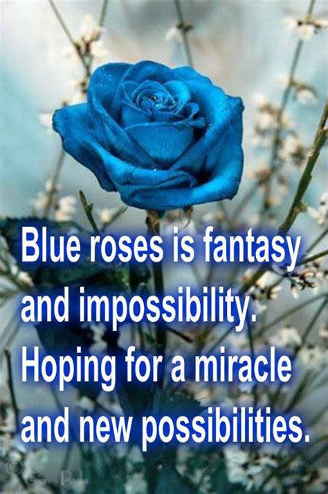 Pin by Emma Corona Teodoro on Quotes & Wishes | Blue rose meaning, Blue ...