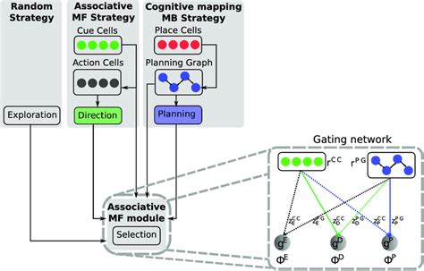 Model overview. The proposed computational model is composed of four ...