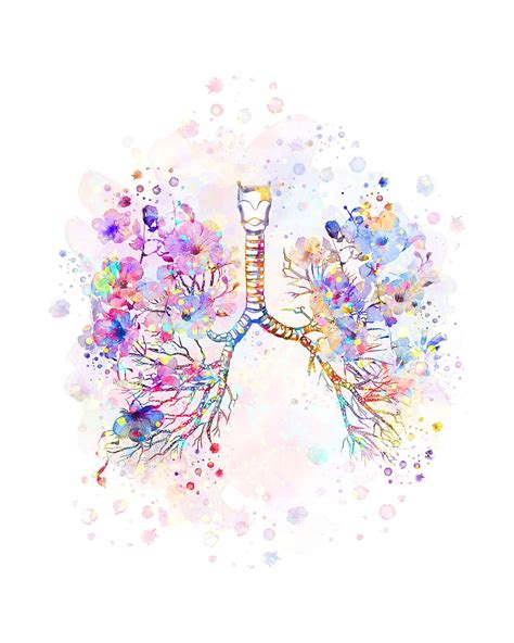 Flower Lungscolorful Floral Lungs Flower Lungs Anatomical Lungs Art ...