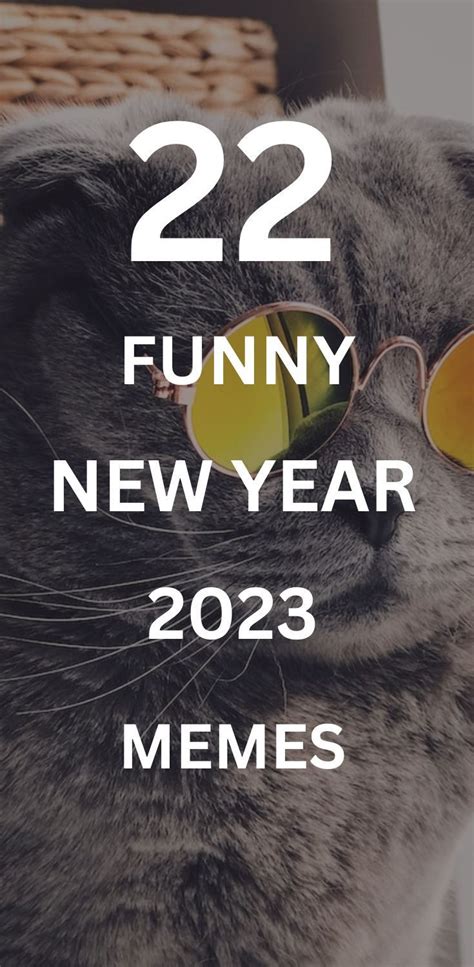 a gray cat wearing sunglasses with the words 22 funny new year memes on it