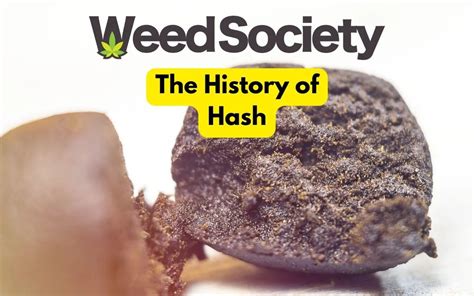 A Quick Guide to The History of Hashish - WeedSociety