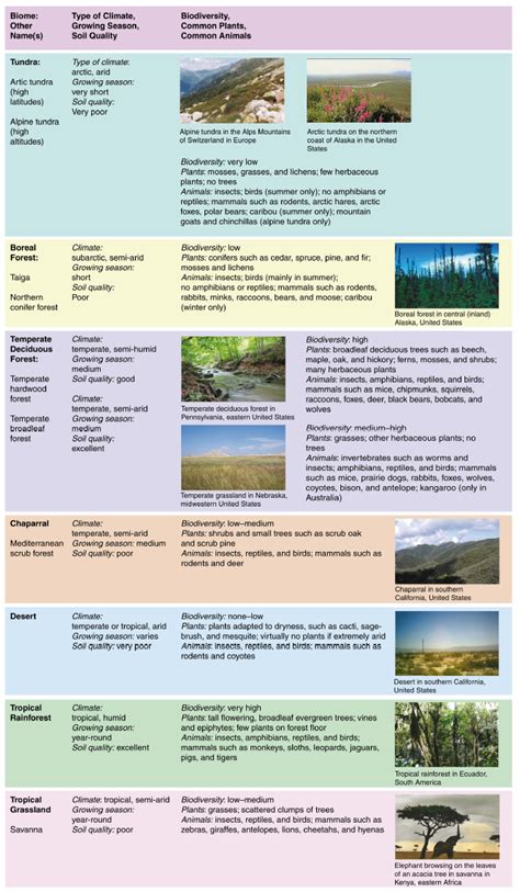 Tundra Biome Insects