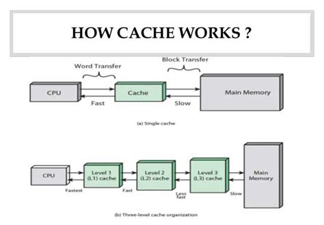 Types of Cache Memory in a CPU