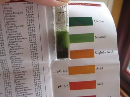 How To Use A Soil pH Test Kit