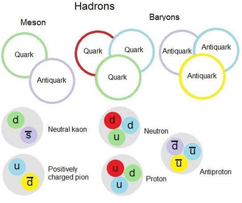 Diagram showing hadrons are split into mesons – made of a quark and an ...