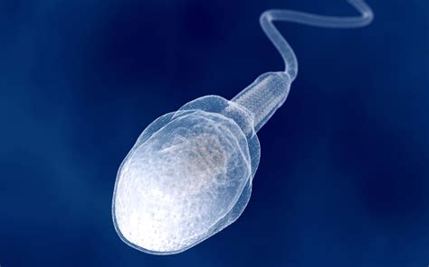 Giant 100 Million Year Old Sperm Cells Discovered – The Oldest Known ...