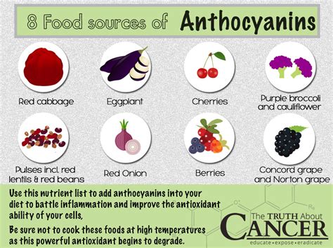 Anthocyanins: 4 Ways This Plant Pigment Protects Against Cancer