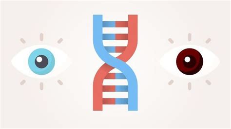 Gene vs Allele: Definition, Difference and Comparison | Technology Networks