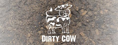 Vulnerability Announcement: Dirty COW (CVE-2016-5195) | BLOG ...