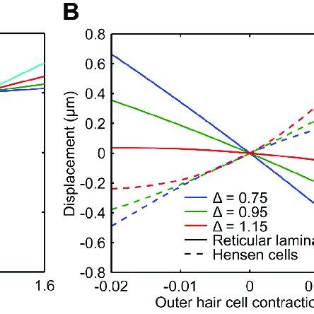 Predicted motion of the reticular lamina for different parameter ...