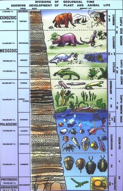 Geologic Time Scale - Earths History