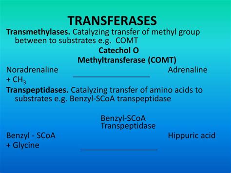 PPT - ENZYMES PowerPoint Presentation, free download - ID:2312615