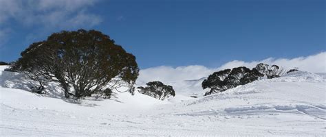 File:Charlotte Pass, winter view.jpg - Wikimedia Commons