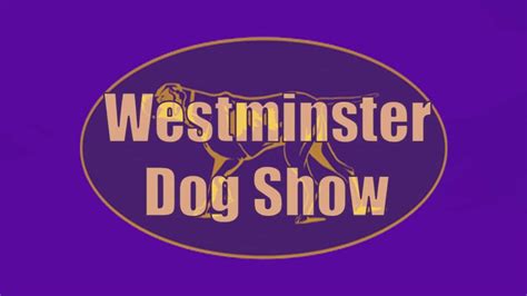 Westminster Dog Show 2024 Tv Schedule 360 - Nelli Yasmeen