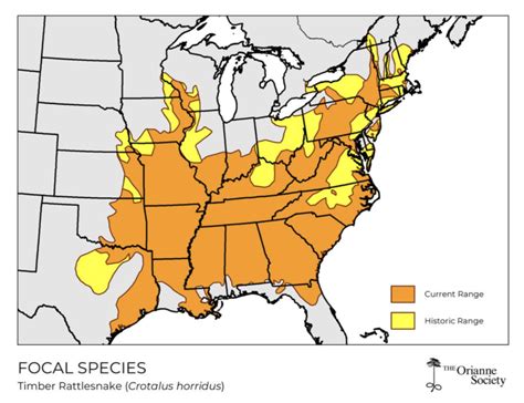 Understanding and Celebrating the Timber Rattlesnake | TRGT