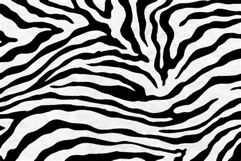 Zebra Pattern Wallpapers - Top Free Zebra Pattern Backgrounds ...