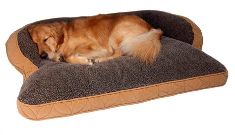 Glamorous Orthopedic Memory Foam Bed Large | Extra large dog bed, Dog ...