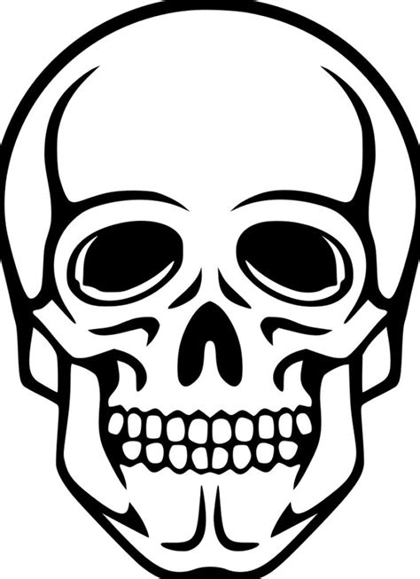 Free Skeleton Face Png, Download Free Clip Art, Free Clip | Skull ...