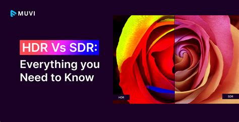 HDR vs SDR: Everything you Need to Know - Muvi One