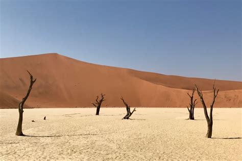 11 Things To Do In The Namib Desert in 2023