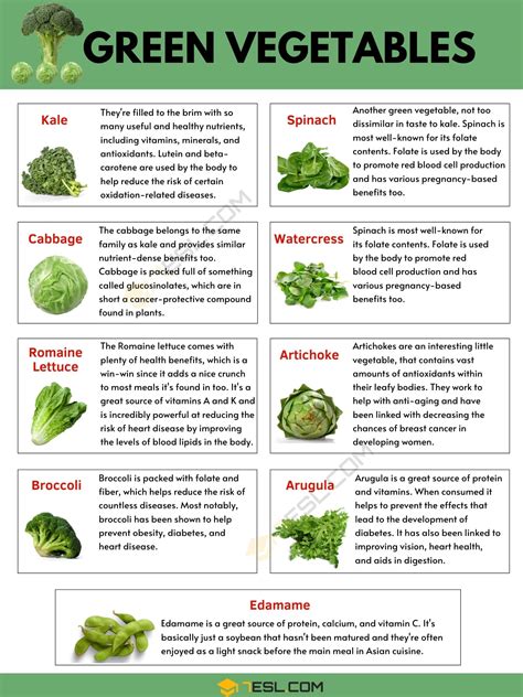 List of Green Vegetables in English with Pictures • 7ESL