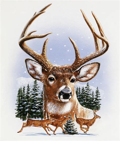 Whitetail Deer Montage/ Winter Painting by William Vanderdasson - Fine ...