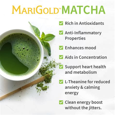 Matcha Green Tea | MariGold Foods