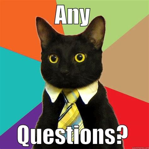 any questions cat - quickmeme