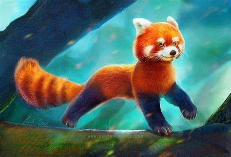 Red Panda – Bente Schlick: Illustrator & Concept Artist | Fantasy Art ...