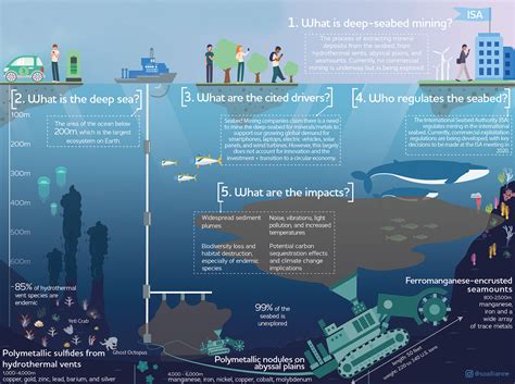 The environmental impact of deep-sea mining | Engineering and ...