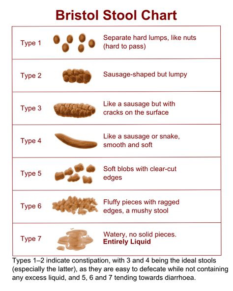 Bristol Stool Chart Uk of the decade The ultimate guide | stoolz