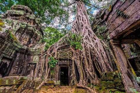 20 Abandoned Places That Were Overrun By Nature | Temple ruins, Angkor ...