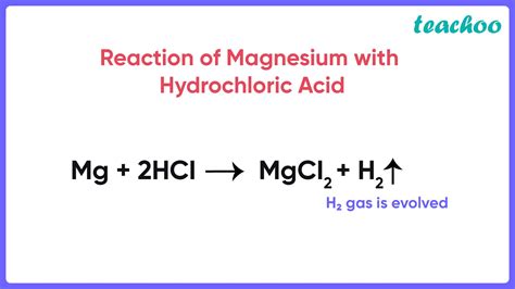 Magnesium And Hcl Reaction