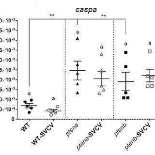 Mutations in the pten genes alter the inflammation-related gene ...