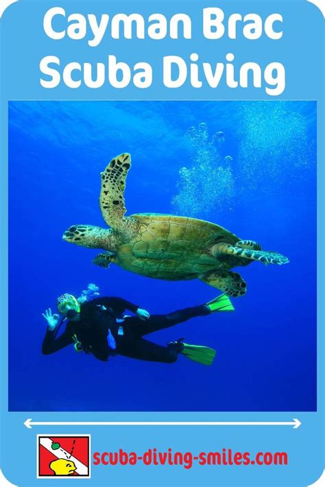 Cayman Brac Scuba Diving | Cayman brac, Diving, Grand cayman island