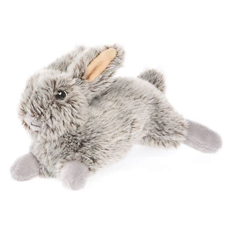 Toys"R"Us® Pets Rabbit Dog Toy - Plush, Squeaker | dog Plush Toys ...