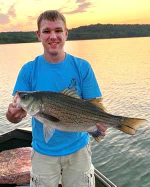 DNR: Fish & Wildlife: Striped and Hybrid Striped Bass Fishing