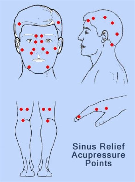 Acupressure Points for Sinus Relief Reflexology Points, Reflexology ...