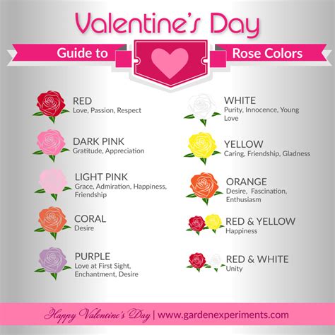 The Meaning of Rose Colors: A Valentine's Day Guide