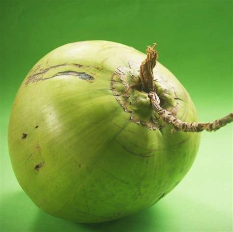 Jual BUAH KELAPA HIJAU 150% LOKAL PREMIUM Halal di Seller Tropical 19 ...