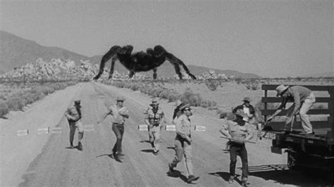 Can You Name These 1950s Horror Movies?