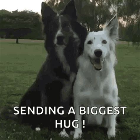 Sending Hugs GIFs | Tenor