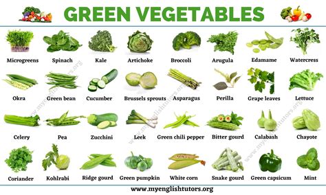 Green Vegetables: List of 31 Types of Vegetables that Have Green Color ...