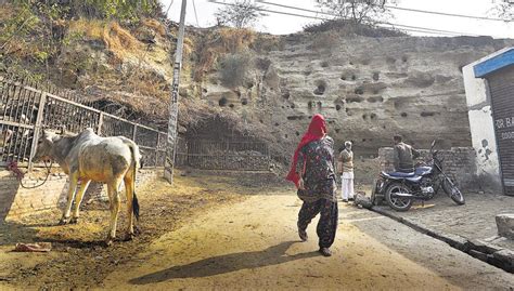 Living with the past: How Rakhigarhi residents share space with the ...