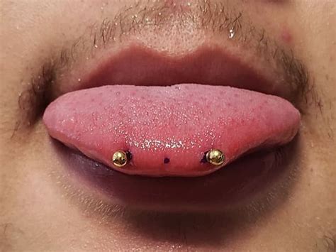 Snake Eyes Piercing 55+ Image Ideas for Snake Tounge Pierce & Jewelry ...